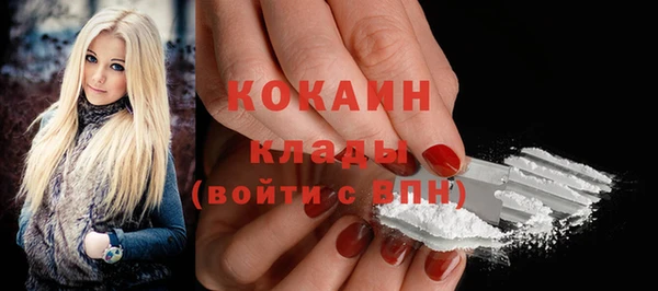 apvp Няндома