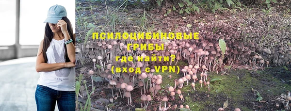 не бодяженный Абаза
