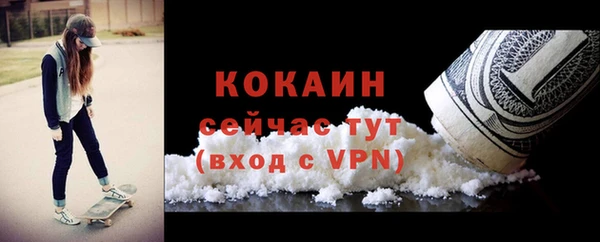 стаф Осташков