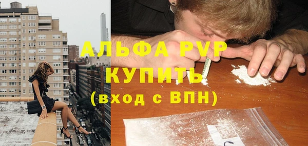 стаф Осташков