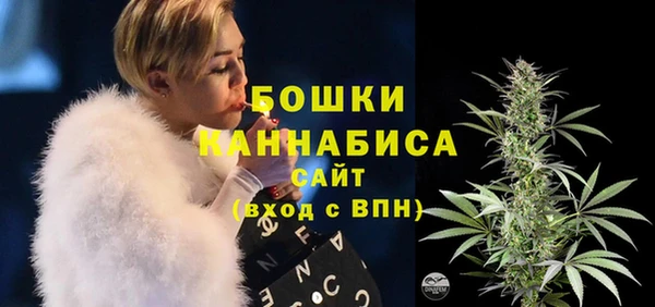 стаф Осташков