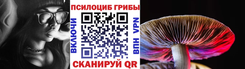 дарнет шоп  Миллерово  Псилоцибиновые грибы GOLDEN TEACHER 