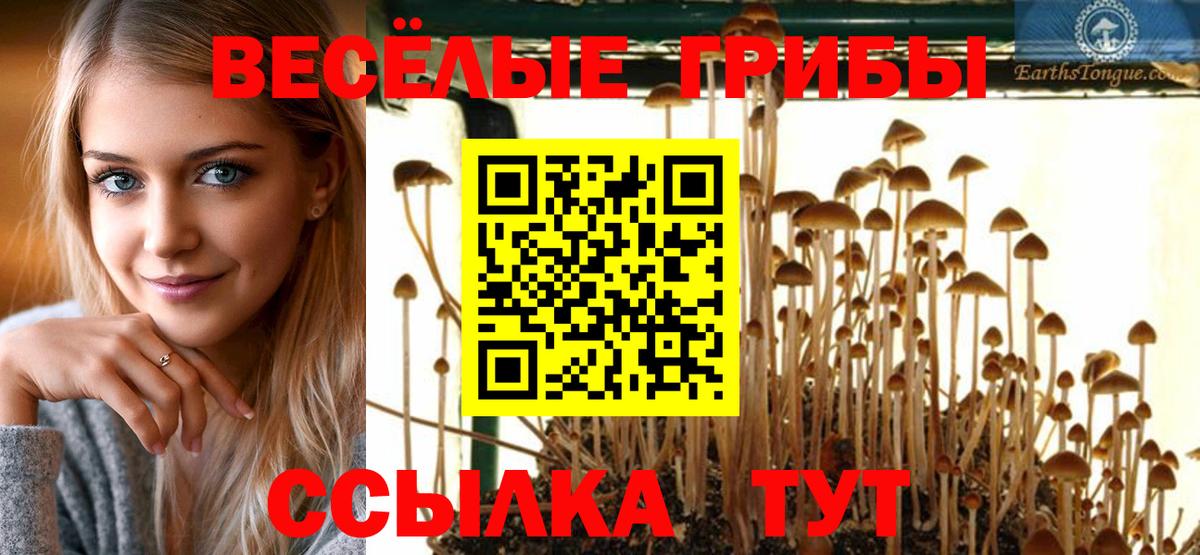 Галлюциногенные грибы прущие грибы Миллерово