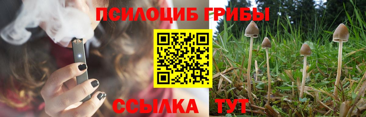 Миллерово  Псилоцибиновые грибы Magic Shrooms  Вход с VPN  Галлюциногенные грибы Psilocybe 